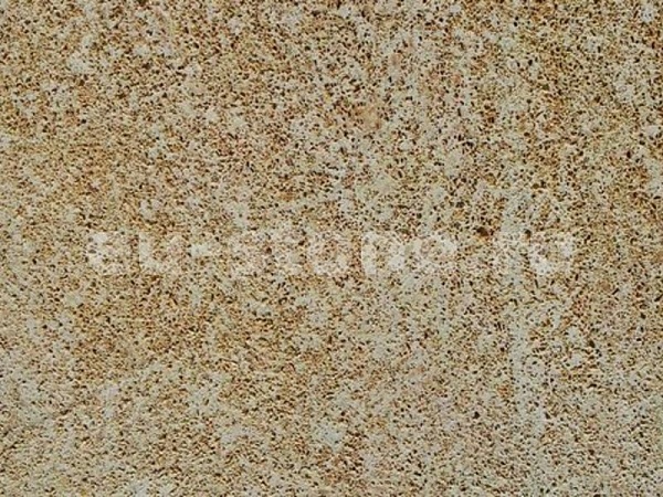 Ракушечник бежевый