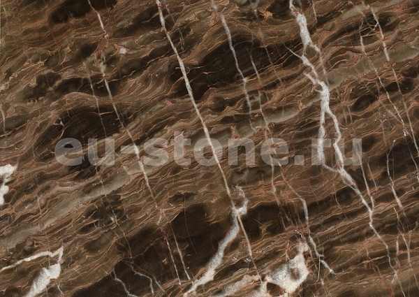 Порторо Браун