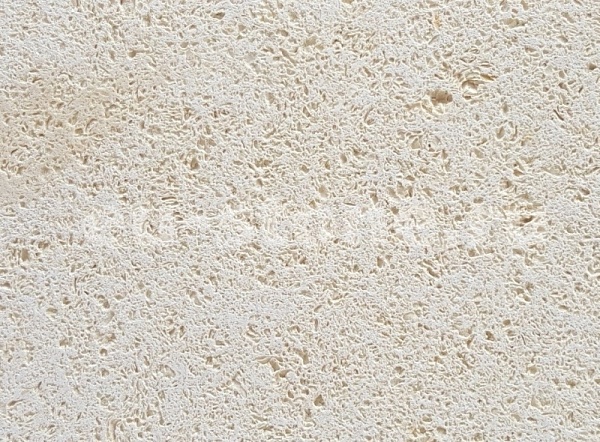 Ракушечник белый