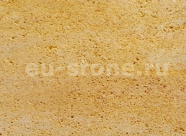 Ракушечник ярко-желтый 